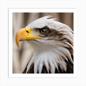 Bald Eagle Art Print