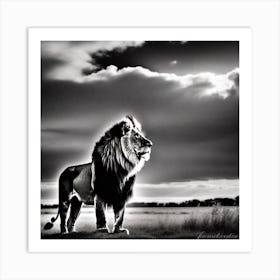 Lion In The Grass Art Print