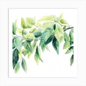 Watercolor Of A Tree Branch Art Print