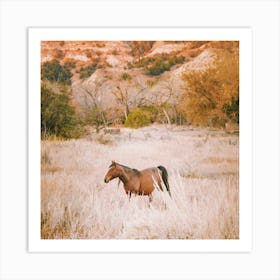 Brown Horse In Desert Art Print