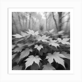 Black And White Leaves In The Forest Art Print