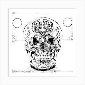 Skull And Brain Art Print