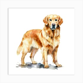 Golden Retriever 1 Art Print