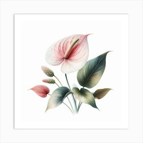 Anthurium 1 Art Print