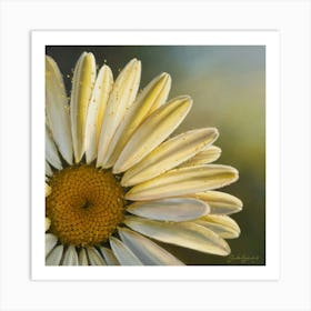 Daisy 2 Art Print