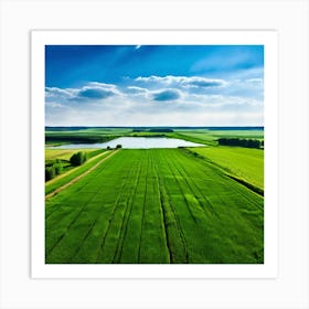 Grass Peace Air Structure Pasture Soy Bean High Country Rural Green Farm Overhead Natur (4) Art Print