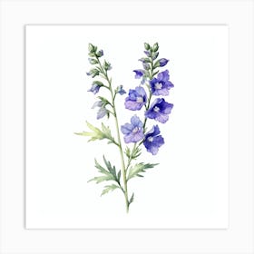 Foxglove Watercolor Painting Art Print