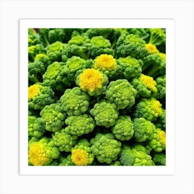 Close Up Of Broccoli 6 Art Print