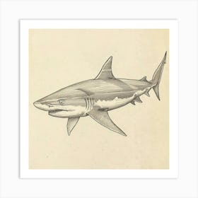 Carpet Shark Vintage Illustration 4 Art Print