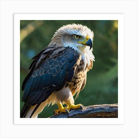 Eagle 1 Art Print