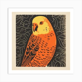 Retro Bird Lithograph Budgerigar 2 Art Print