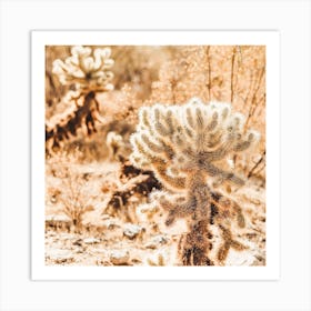 Warm Desert Scenery Square Art Print