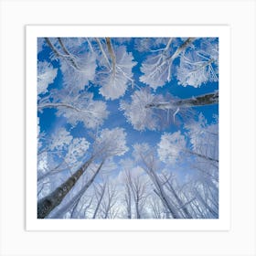 Frosted Trees Art Print