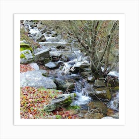 Stream In The Woods Art Print