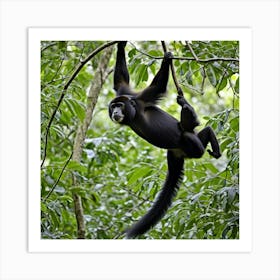 Monkey Hanging From A Tree 2 Art Print