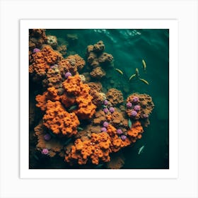 Coral Reef7 2 Art Print