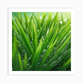 Green Grass With Water Droplets Art Print