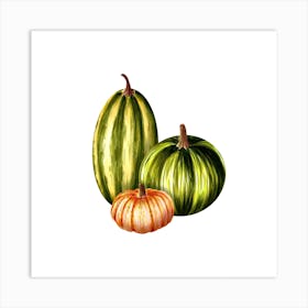 Watercolor Pumpkins Isolated On White Art Print