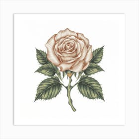 Rose 1 Art Print