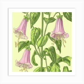 Fuchsia Art Art Print