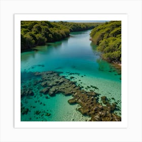 Iguazu River Art Print