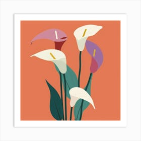 Calla Lily 3 Art Print