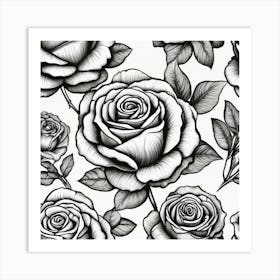 Black And White Roses 8 Art Print