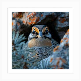 Pheasant 6 Art Print