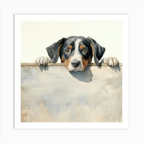 Bernese Mountain Dog 9 Art Print