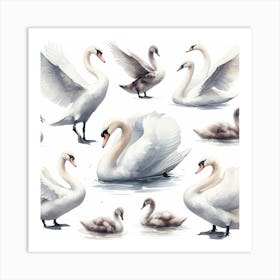 Swans 15 Art Print