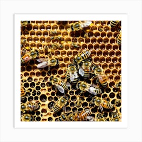 Bees On Honeycomb 9 Art Print