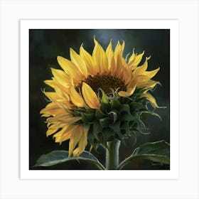 Sunflower 1 Art Print