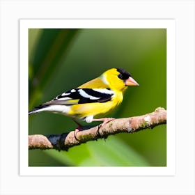 Goldfinch 20 Art Print