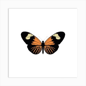 Heliconius Burneyi Butterfly Square Art Print