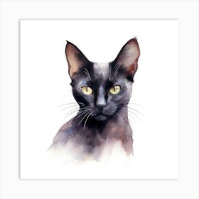 Bombay Sable Cat Portrait 3 Art Print