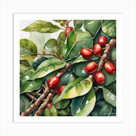 Coffee Berries 12 Art Print