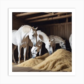 White Horses Eat Hay Art Print