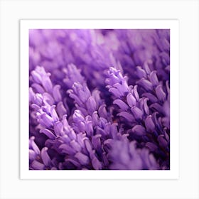 Lavender Flowers 15 Art Print