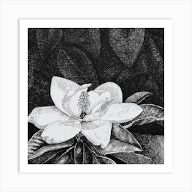 Rhododendron Art Print