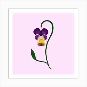 Pansy Flower Art Print