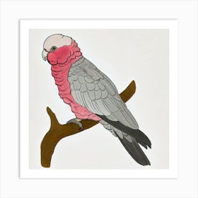 Cockatoo Art Print