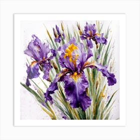 irises Art Print