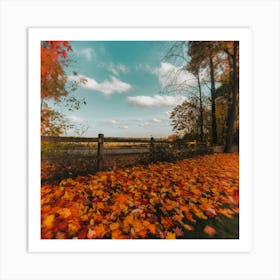 Autumn Leaves Art Print