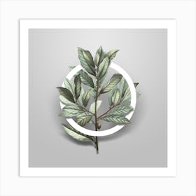 Vintage Bay Laurel Minimalist Floral Geometric Circle on Soft Gray n.0556 Art Print