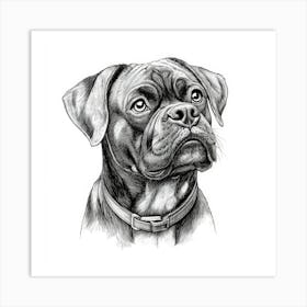 Bull Mastiff Art Print