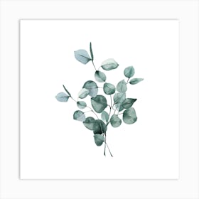 Eucalyptus Art Print