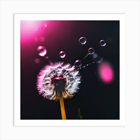 Illuminated Pink Dandelion and Water Droplets Art Print