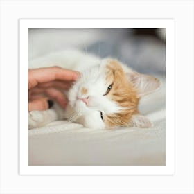 Cat Laying On A Bed Art Print