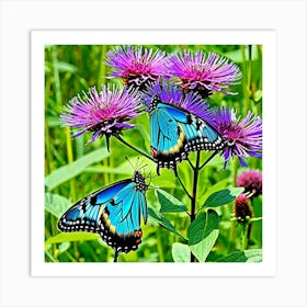 Butterfly On Thistle 1 Art Print