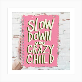 Slow Down You Crazy Child 2 Art Print